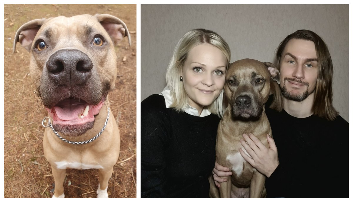 Alice Berghiller och Kim Svantesson vill nu varna andra hundägare.